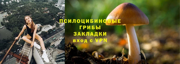 хмурый Киренск