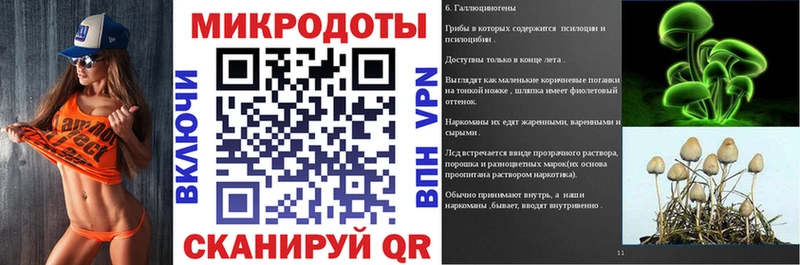 Купить где  Жирновск  Псилоцибиновые грибы мицелий 